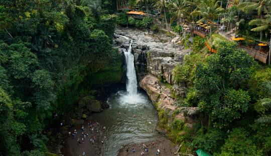 licensed-image (6).jpeg